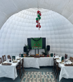 Perry Hill Pub Igloo photo